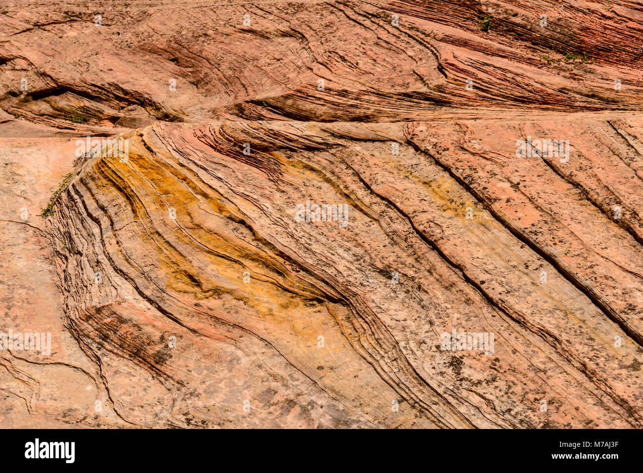 Gli Stati Uniti, Utah, Washington county, springdale, Parco Nazionale Zion, canyon Zion, echo canyon, vista dal punto di osservazione Trail Foto Stock