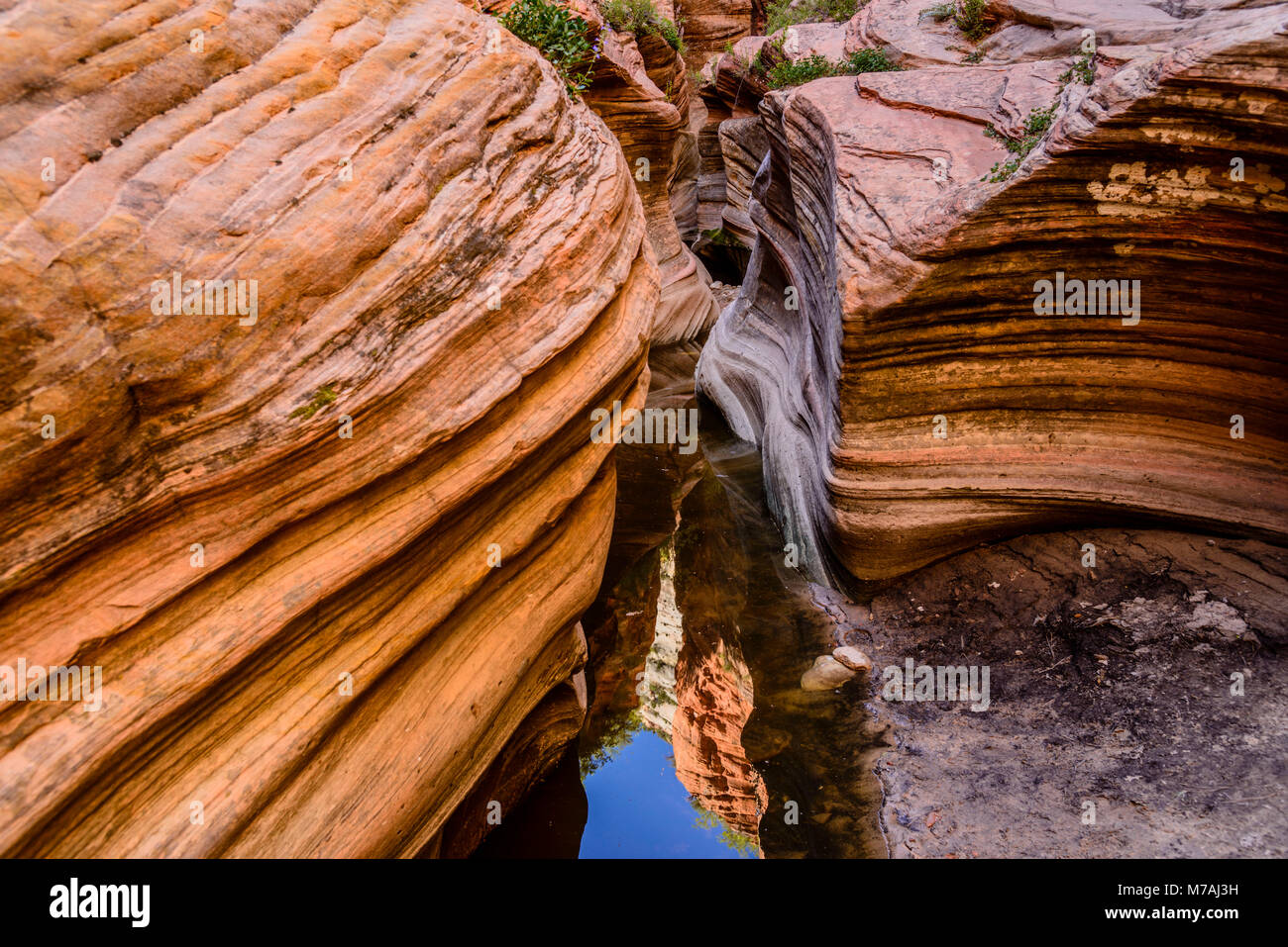 Gli Stati Uniti, Utah, Washington county, springdale, Parco Nazionale Zion, canyon Zion, echo canyon, vista dal punto di osservazione Trail Foto Stock