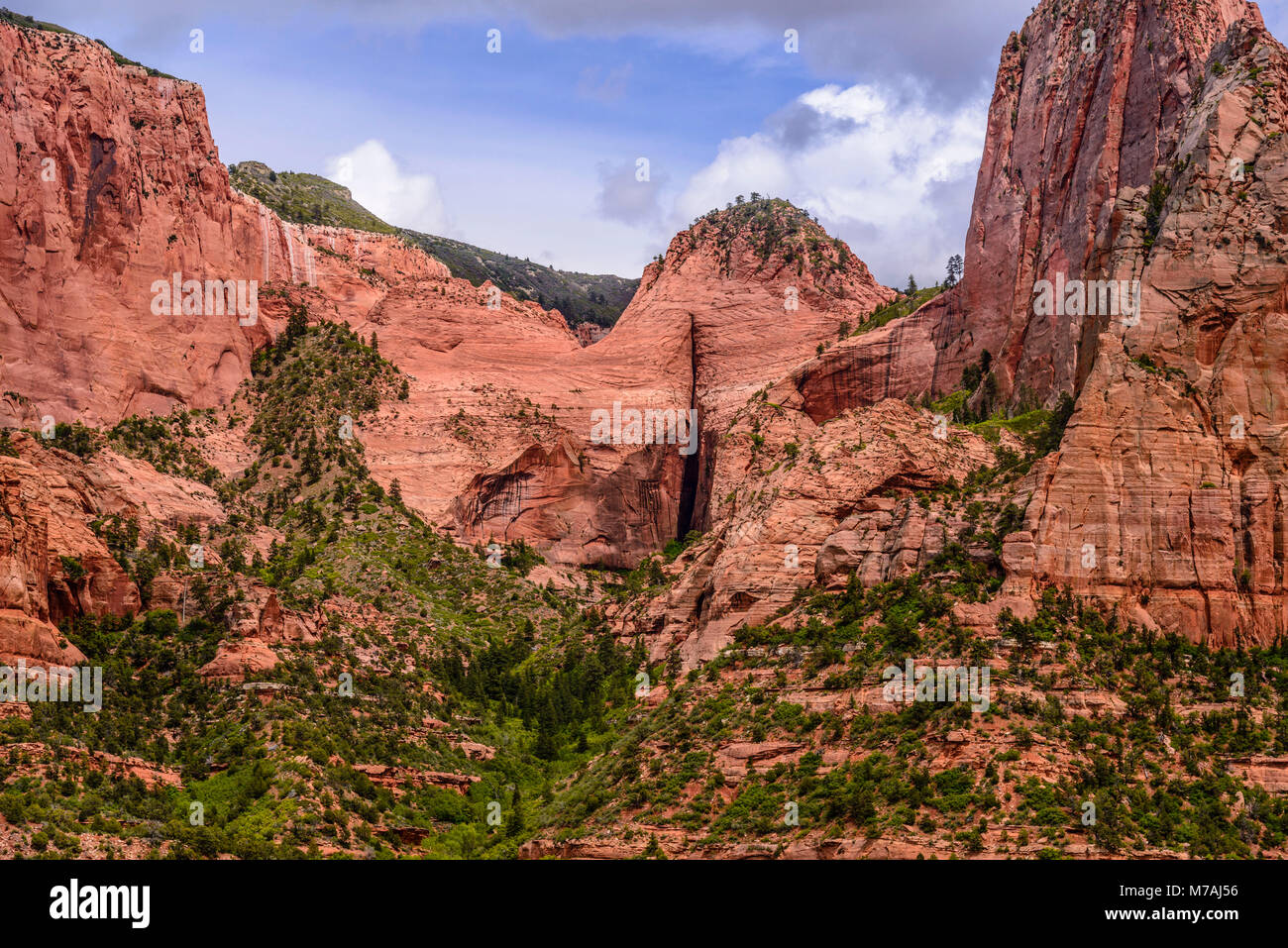 Gli Stati Uniti, Utah, Washington county, springdale, Parco Nazionale Zion, Kolob canyon Foto Stock