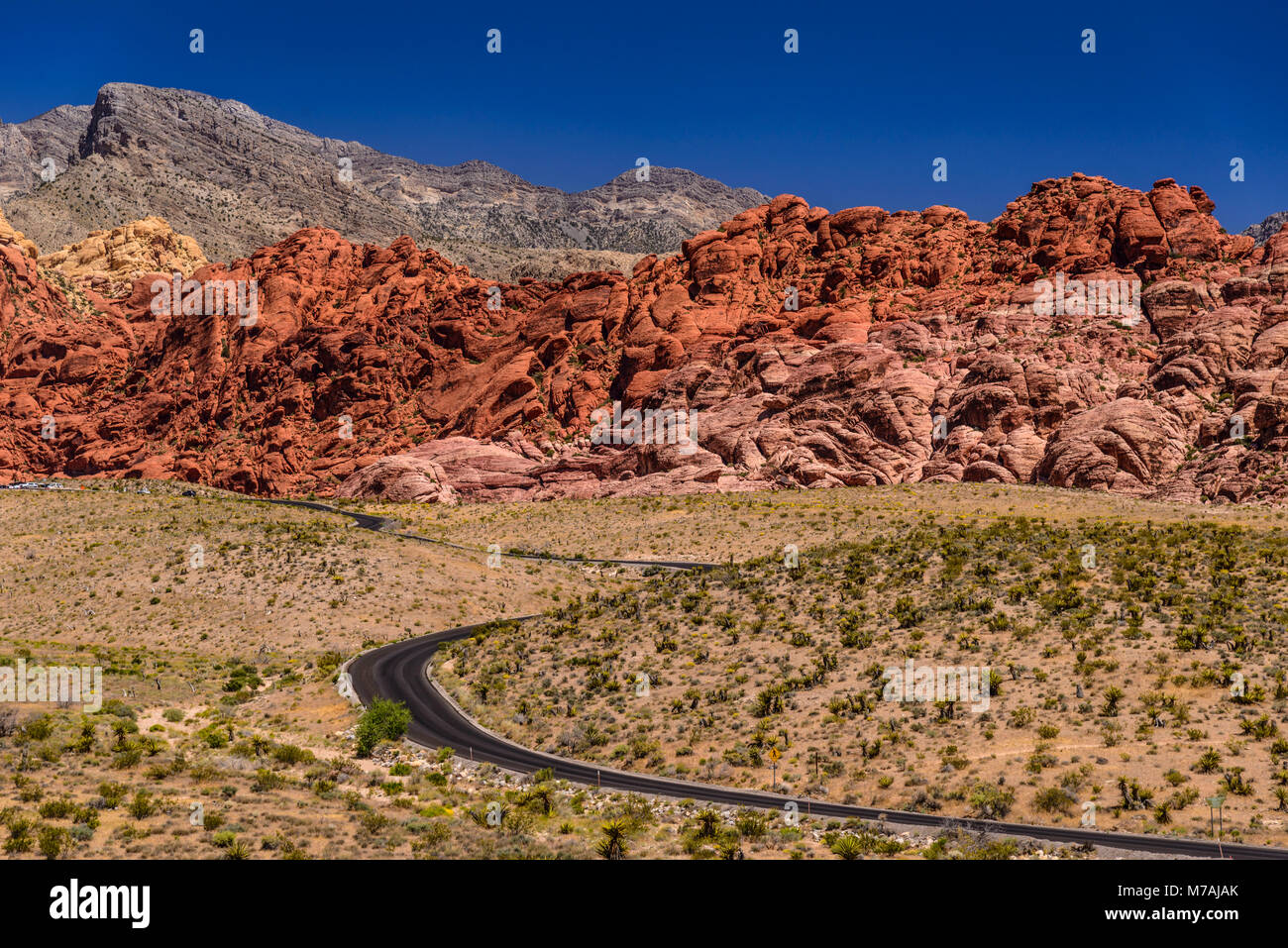 Gli Stati Uniti, Nevada, Clark County, Las Vegas Red Rock Canyon, calicò colline verso la Madre le montagne con picco Turtlehead, vista dal centro visitatori Foto Stock