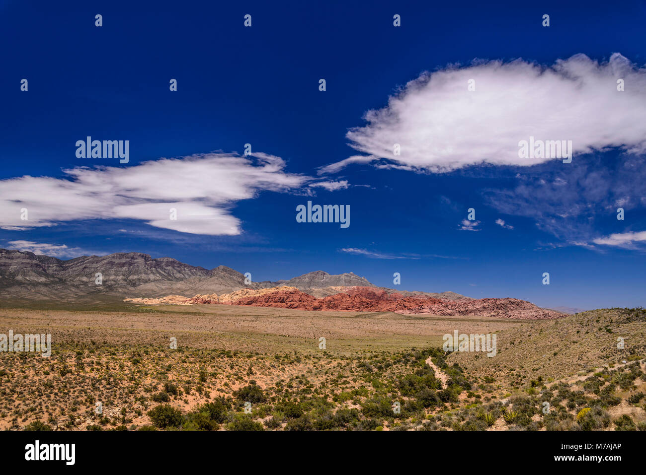 Gli Stati Uniti, Nevada, Clark County, Las Vegas Red Rock Canyon, calicò colline verso la Madre le montagne con picco Turtlehead, vista dalla Red Rock si affacciano Foto Stock