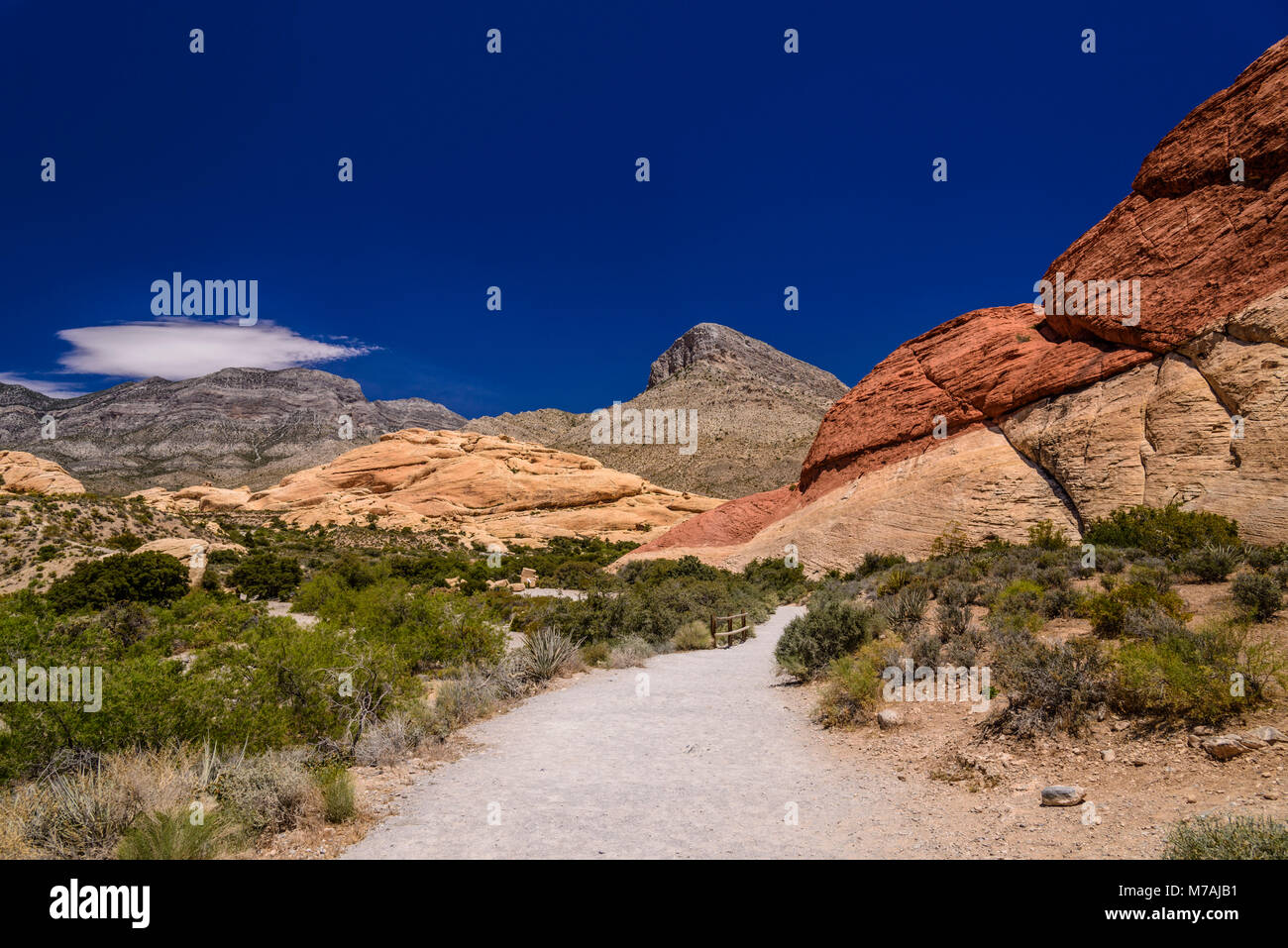 Gli Stati Uniti, Nevada, Clark County, Las Vegas Red Rock Canyon, cava di pietra arenaria verso la Madre le montagne con picco Turtlehead Foto Stock