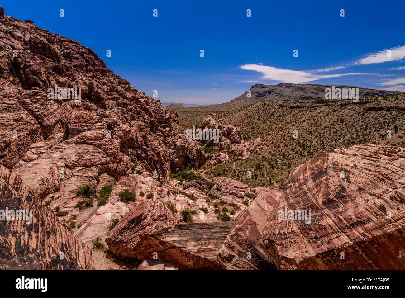 Gli Stati Uniti, Nevada, Clark County, Las Vegas Red Rock Canyon, calicò Colline Foto Stock