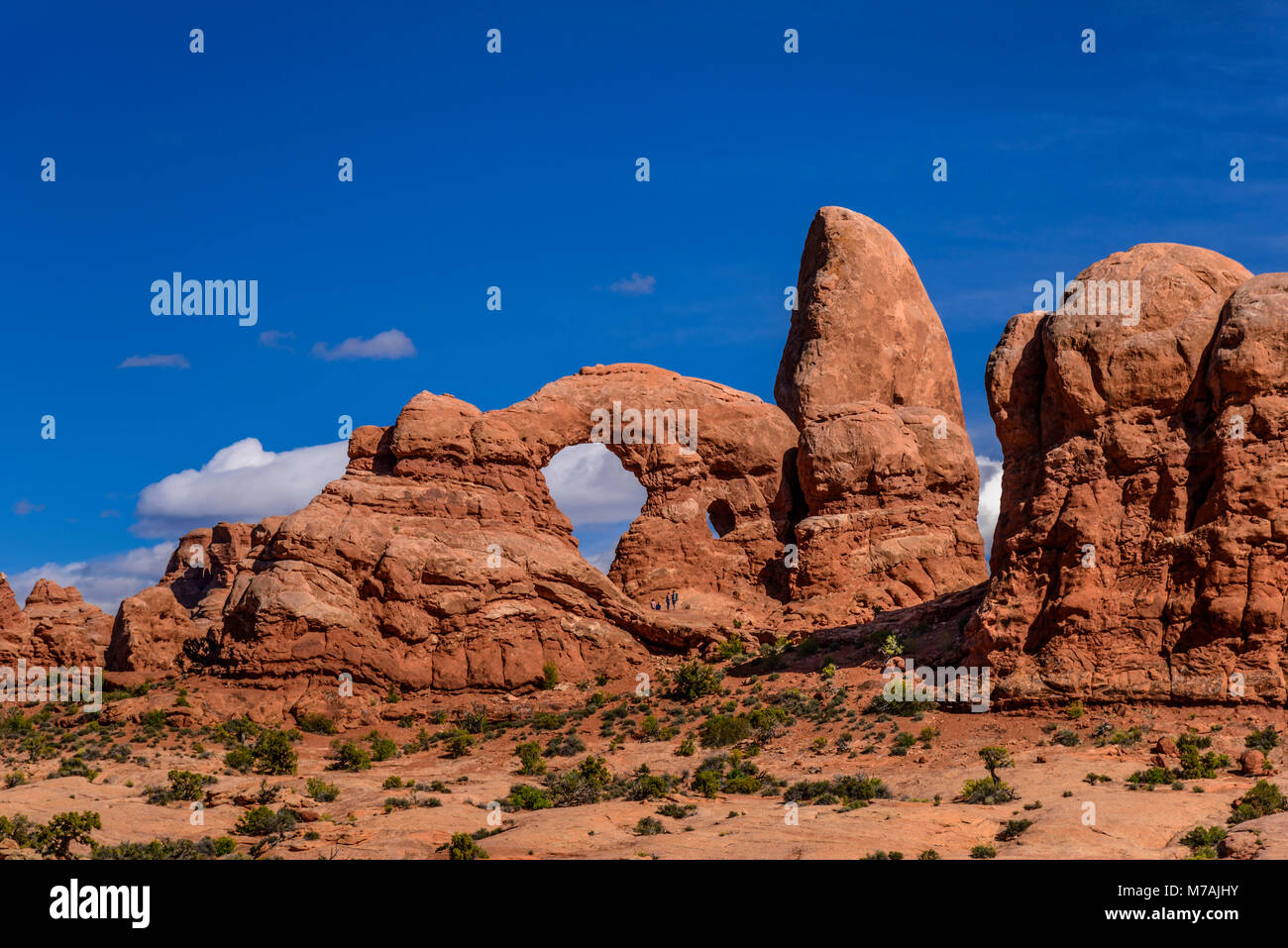 Gli Stati Uniti, Utah, Grand county, Moab, Arches National Park, la sezione di Windows, la torretta Arch Foto Stock