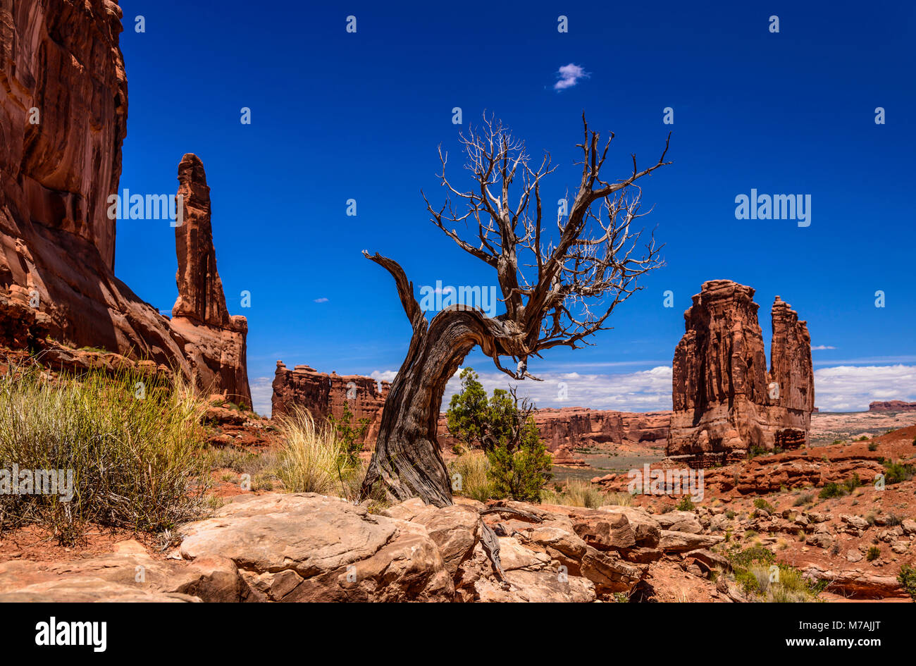 Gli Stati Uniti, Utah, Grand county, Moab, Parco Nazionale di Arches, il Palazzo di Giustizia di Torre, vista da Park Avenue Trail Foto Stock