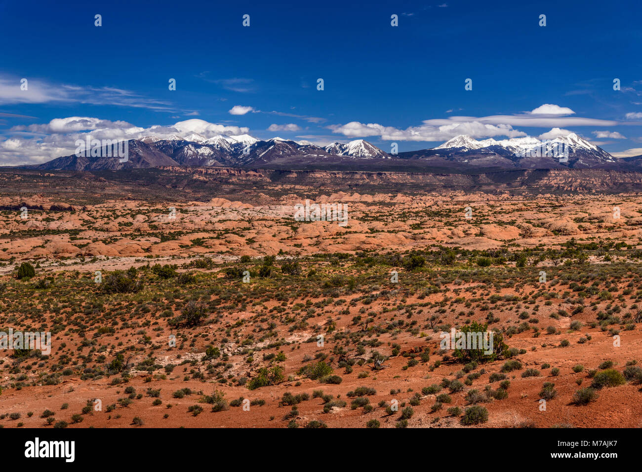 Gli Stati Uniti, Utah, Grand county, Moab, Arches National Park, pietrificate dune verso La Sal Mountains Foto Stock