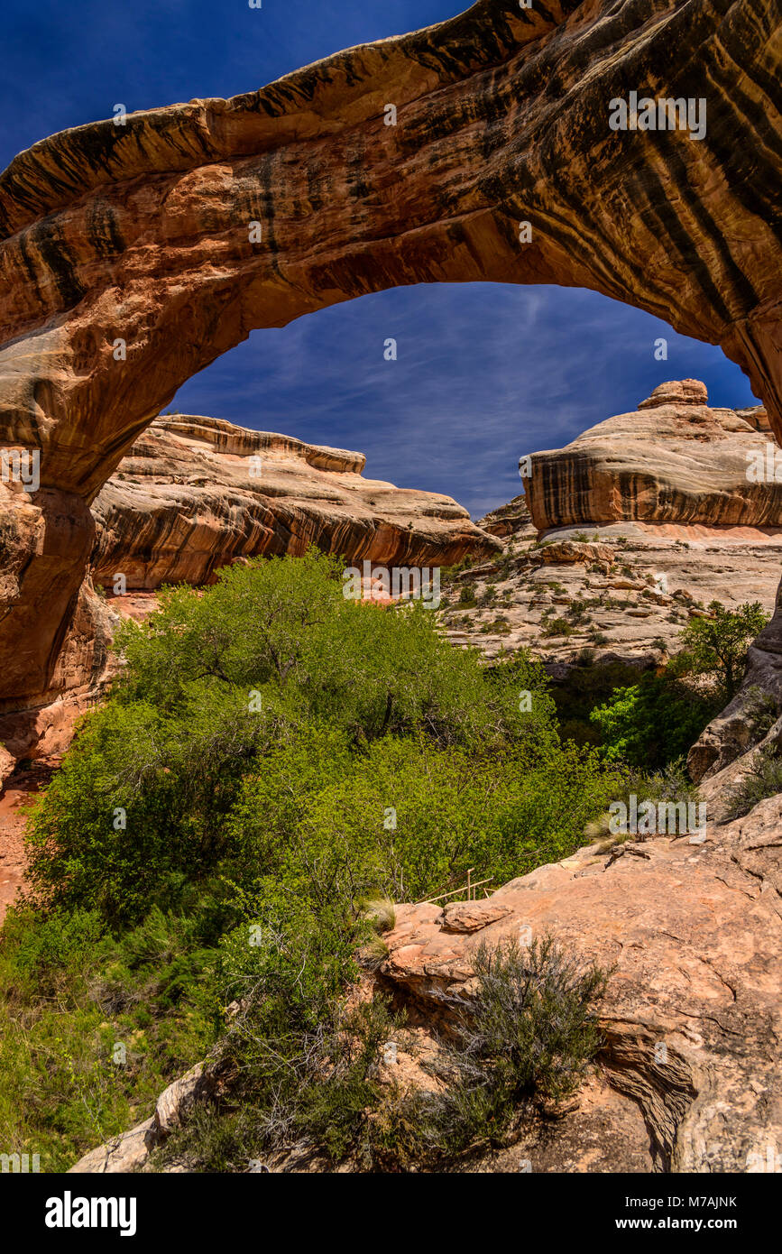 Gli Stati Uniti, Utah, la contea di San Juan, Blanding, ponti naturali monumento nazionale, il Canyon Bianco, Sipapu Bridge Foto Stock