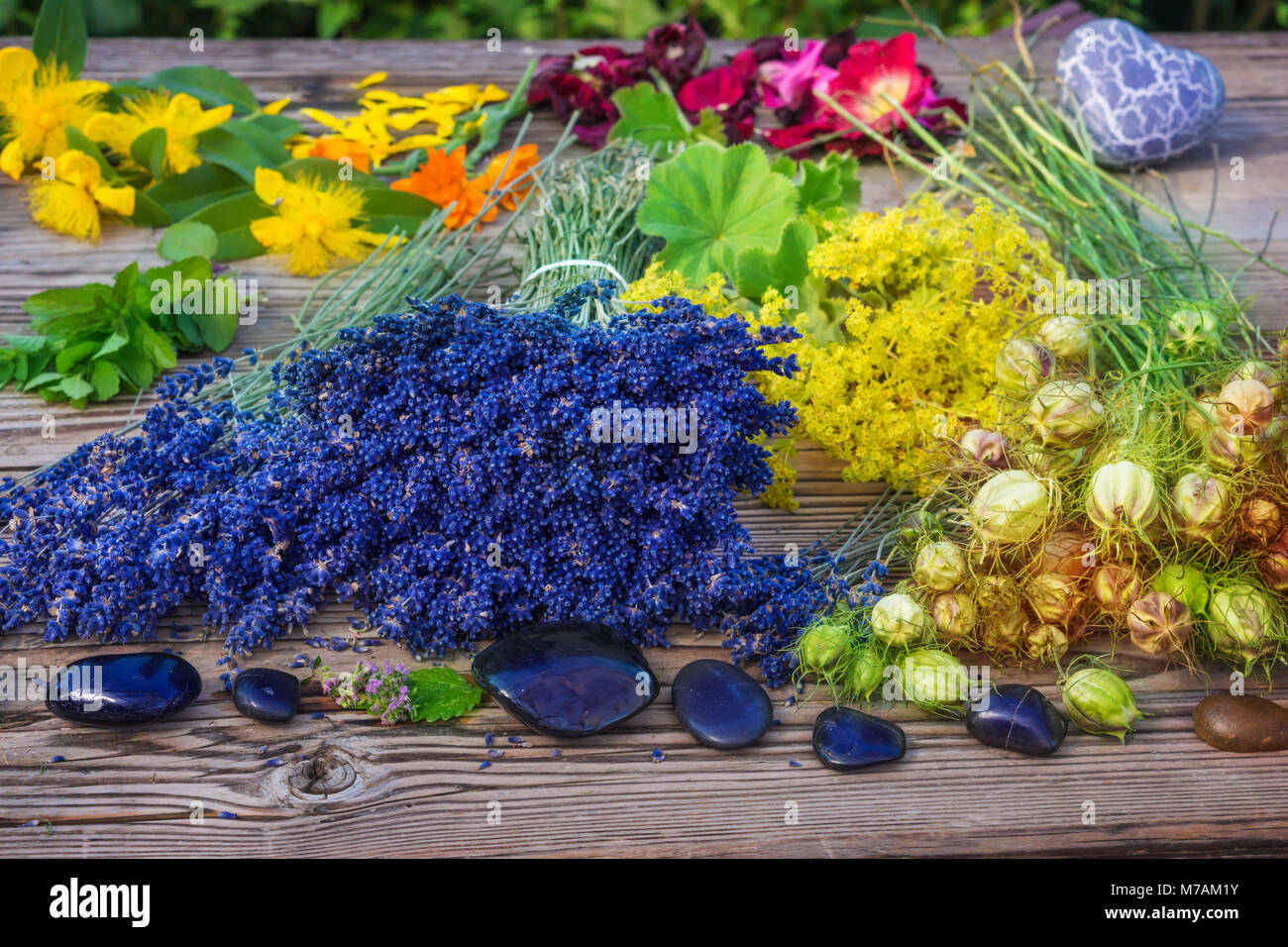 Erbe e pietre curative Foto Stock