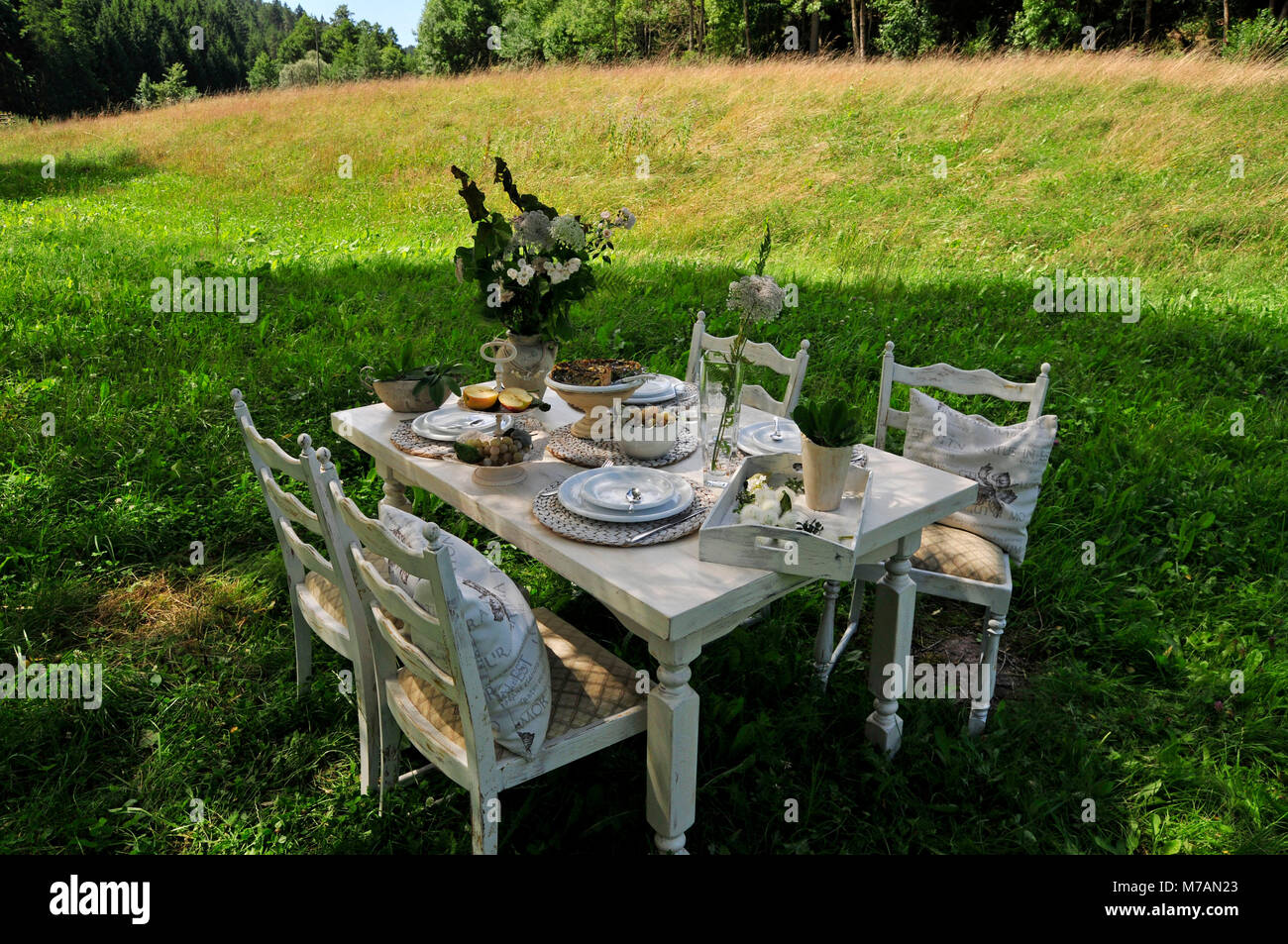 Di cui bianco tavolo da pranzo su un prato estivo Foto Stock