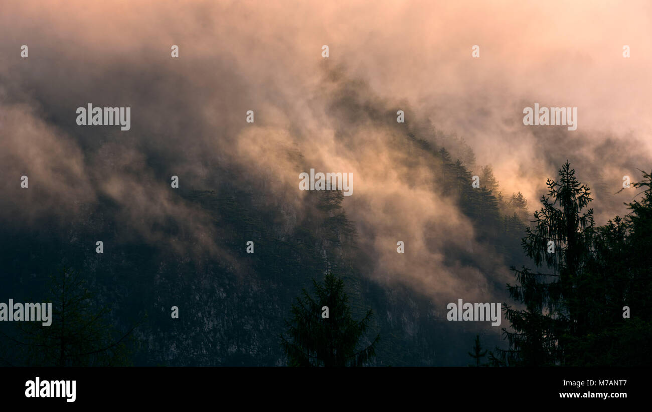 Prima la luce solare colpisce la foresta umida nelle Alpi italiane, Gravon di Gleris Foto Stock
