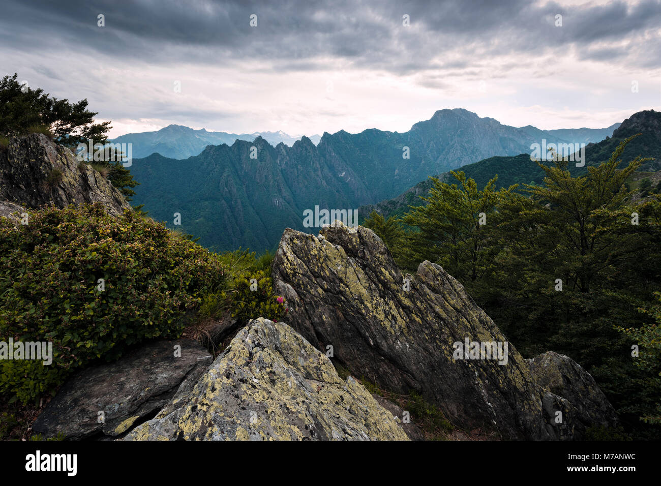 Natura selvaggia del Parco Nazionale della Val Grande, Piemonte, Italia Foto Stock