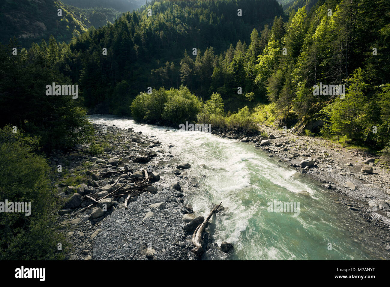 Torrente di montagna nelle Alpi Marittime, Francia Foto Stock