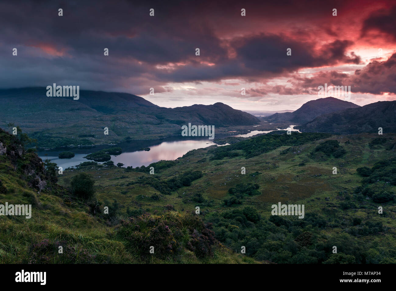 Chiudere Ladies View nel Parco Nazionale di Killarney, Kerry, Irlanda Foto Stock