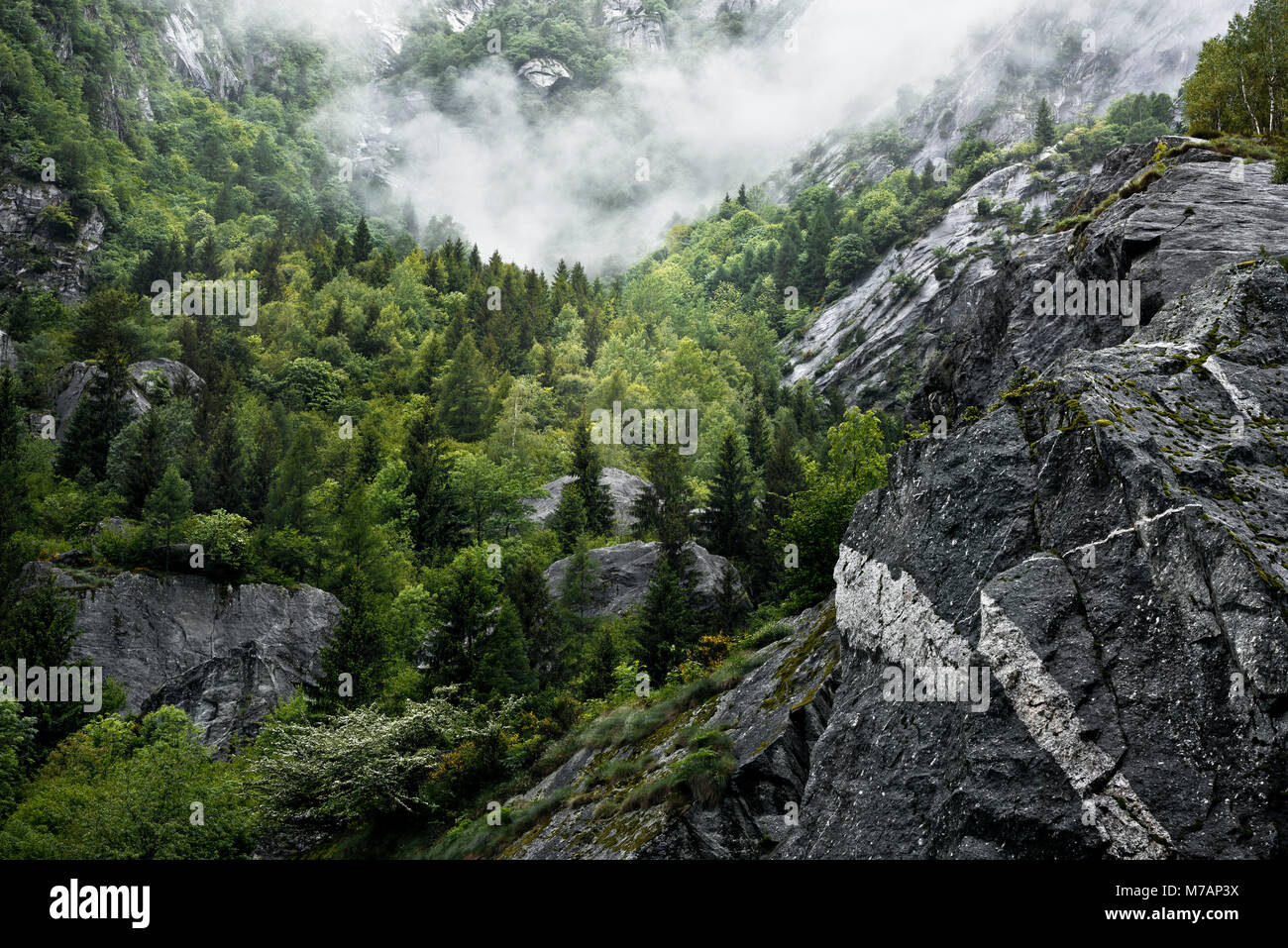 Nella Val Masino (valle), Bregaglia montagne, Lombardia, Italia Foto Stock