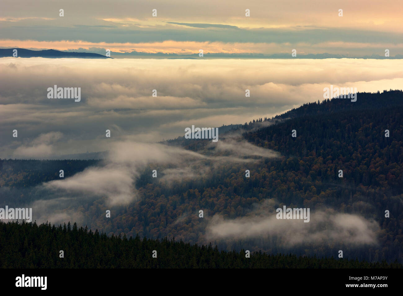 Vista dalla Boubin (in tedesco Kubany) oltre la giungla Kubany contro le Alpi in tarda serata luce, Repubblica Ceca Foto Stock