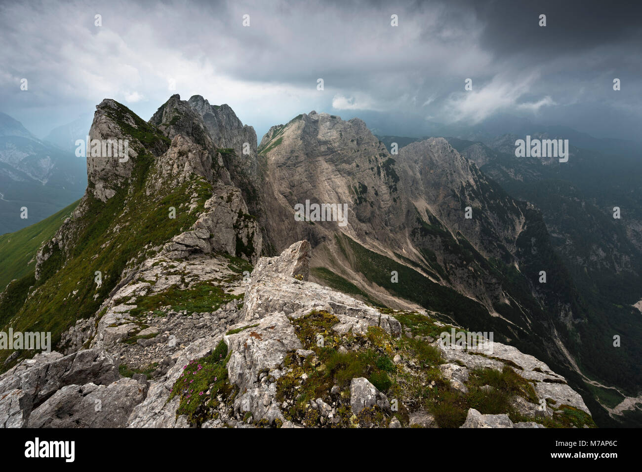 Crinale montuoso con il Monte Bucher accanto al Mangart, il Parco Nazionale del Triglav, Slovenia Foto Stock