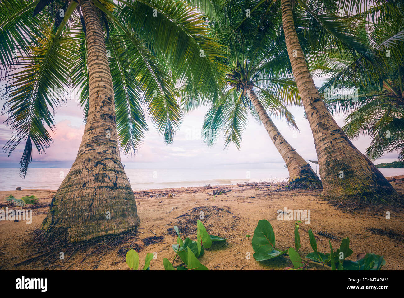 Scena di spiaggia in stile retrò sull'isola dei Caraibi Porto Rico Foto Stock