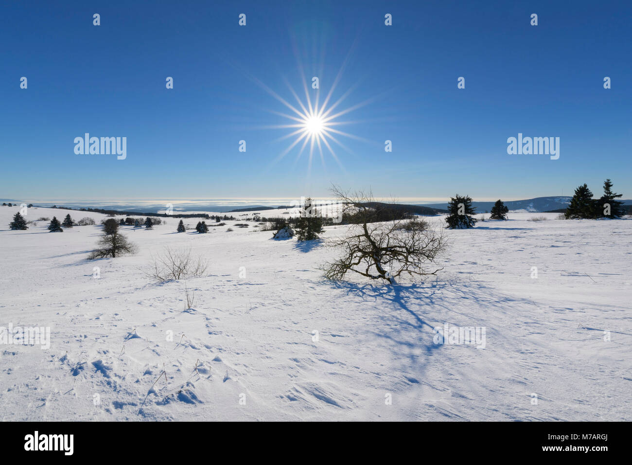 Paesaggio in inverno con Sun, Heidelstein montagna, Oberelsbach, Rhoen Mountain, Baviera, Germania Foto Stock