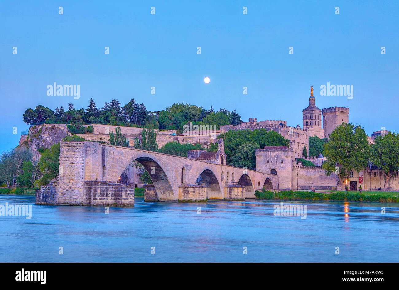 Francia, regione della Provenza, città di Avignone, il Palazzo dei Papi ,SAN Benezet bridge, Rhone river al chiaro di luna Foto Stock