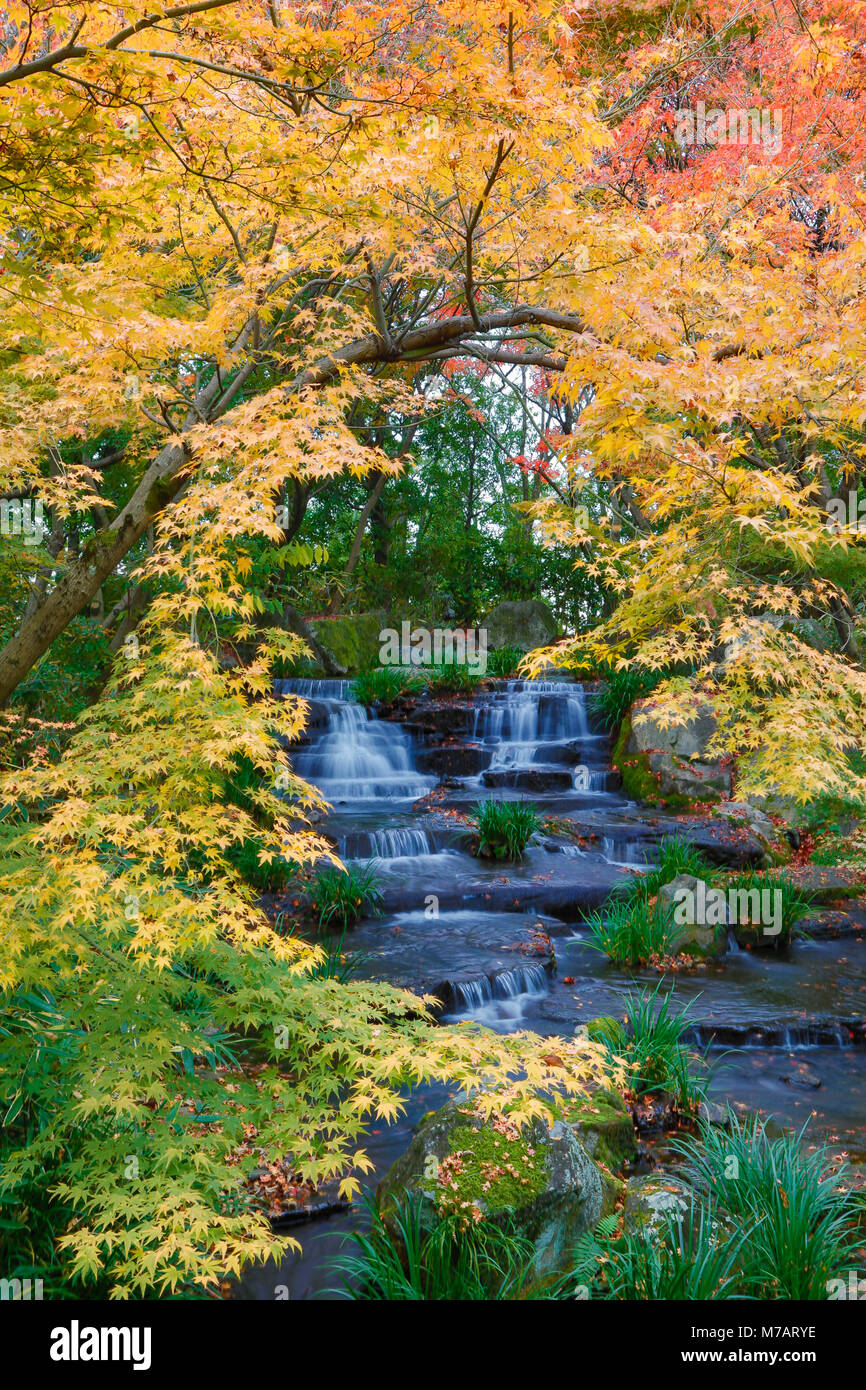 Giappone, Himeji City, Koko-en Garden Foto Stock