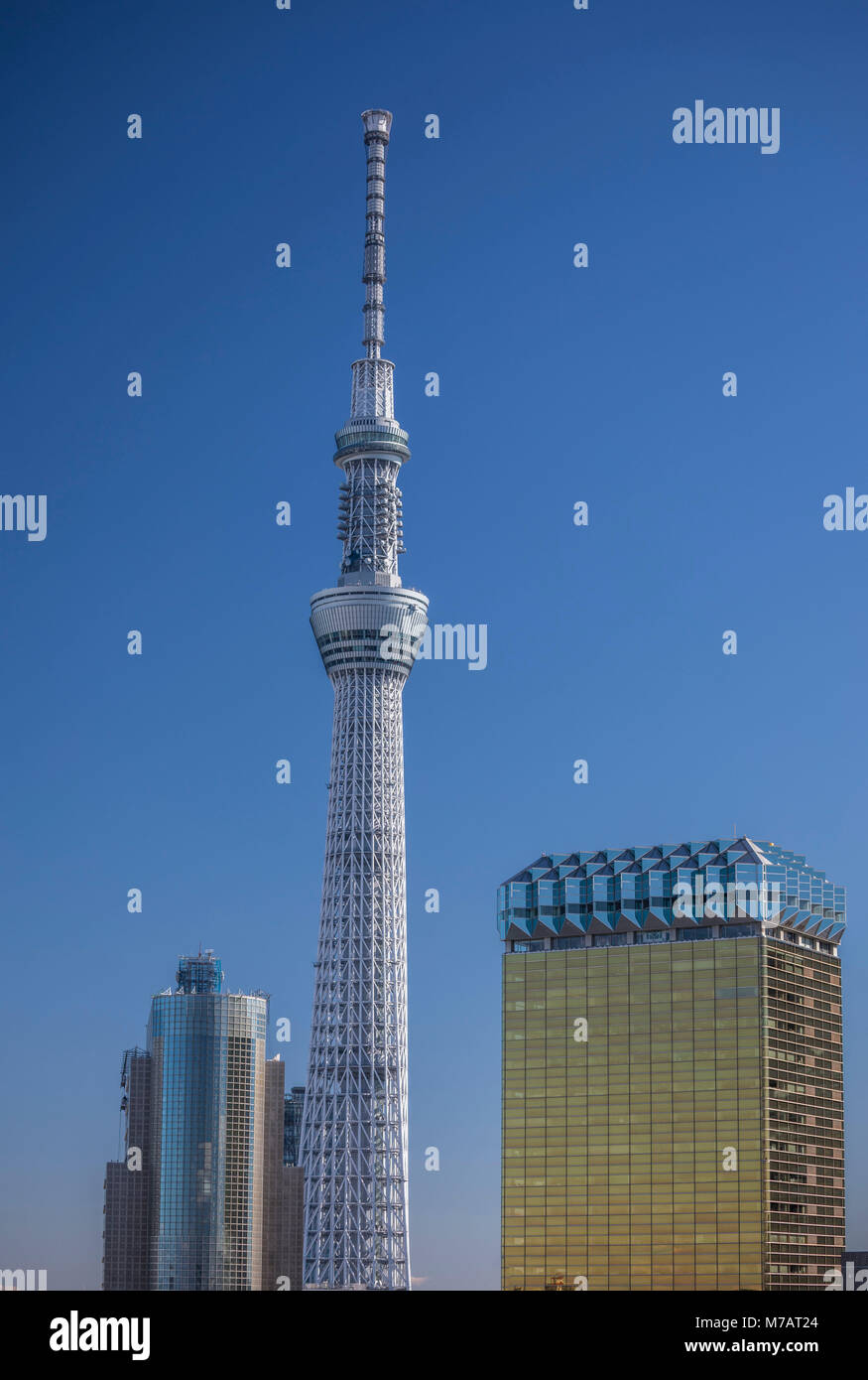 Giappone Tokyo City, Torre Skytree Foto Stock