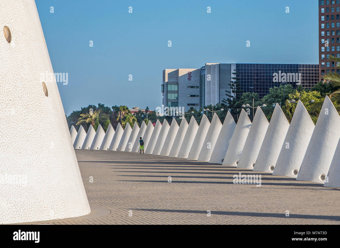 Spagna, la città di Valencia, la Città delle arti e della scienza, Calatrava architetto Foto Stock