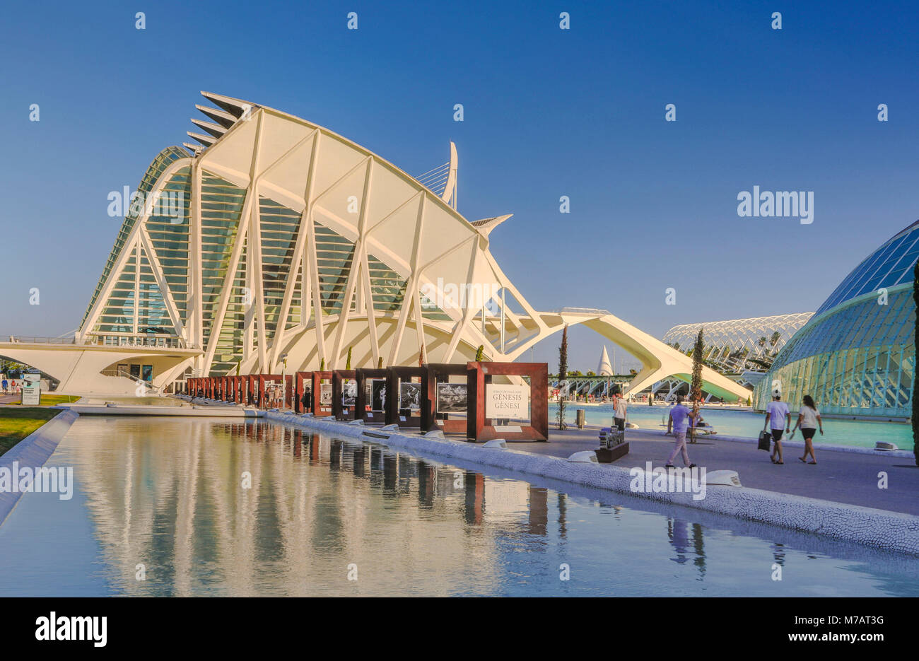 Spagna, la città di Valencia, la Città delle arti e della scienza, Calatrava architetto Foto Stock