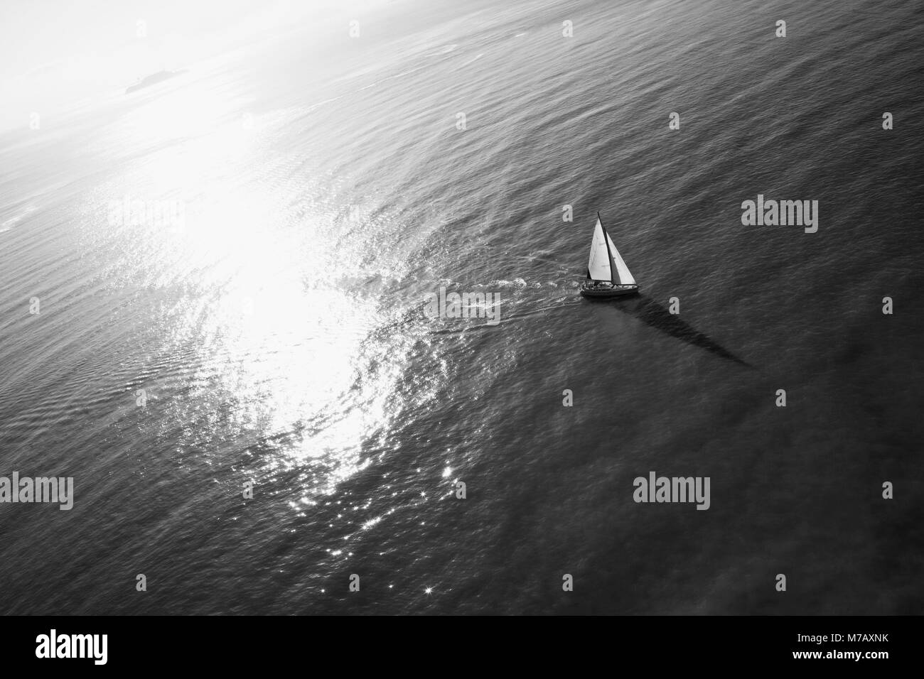 Barca a vela in mare, San Francisco, California, Stati Uniti d'America Foto Stock