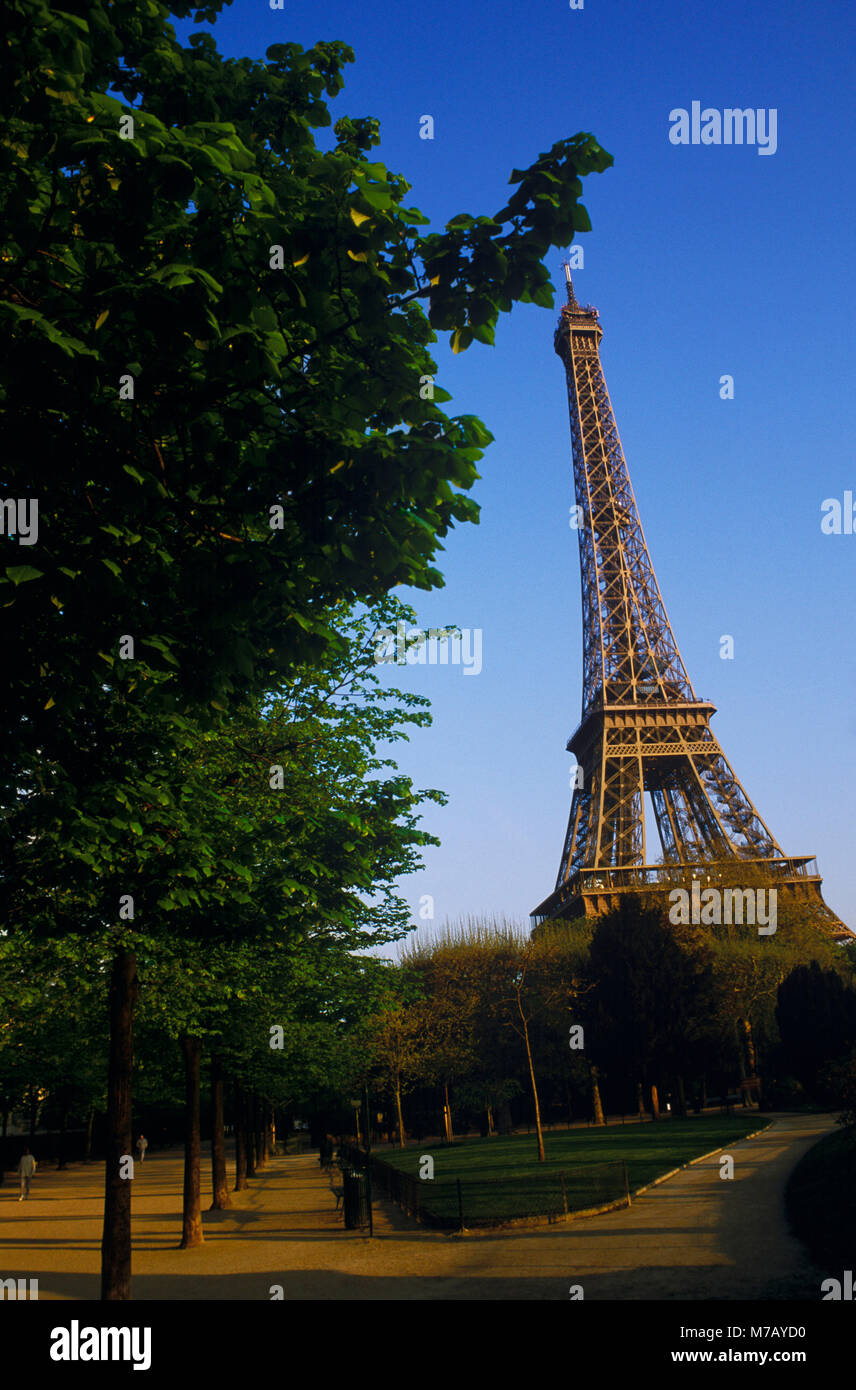 Alberi di fronte a una torre, Torre Eiffel, Parigi, Francia Foto Stock