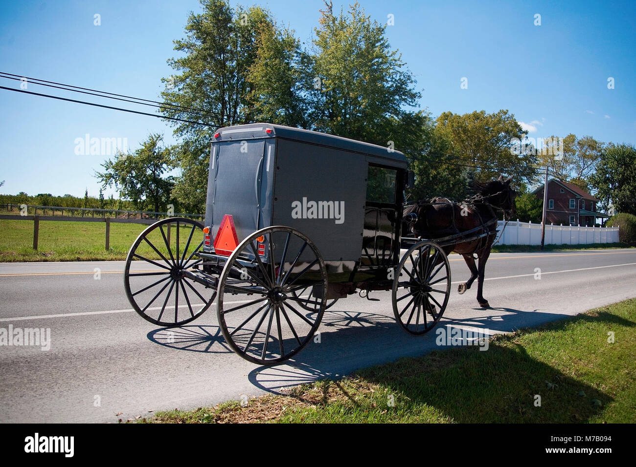Carrello a cavallo sulla strada, fattoria Amish, a Lancaster, Pennsylvania, STATI UNITI D'AMERICA Foto Stock