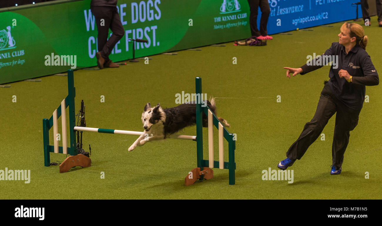 Birmingham, Regno Unito. 9 Mar, 2018. Il Crufts Dog Show Birmingham Regno Unito agilità cani concorrenza nei principali arena in questo anno il Crufts Dog Show a Birminghams NEC. Credito: charlie bryan/Alamy Live News Foto Stock