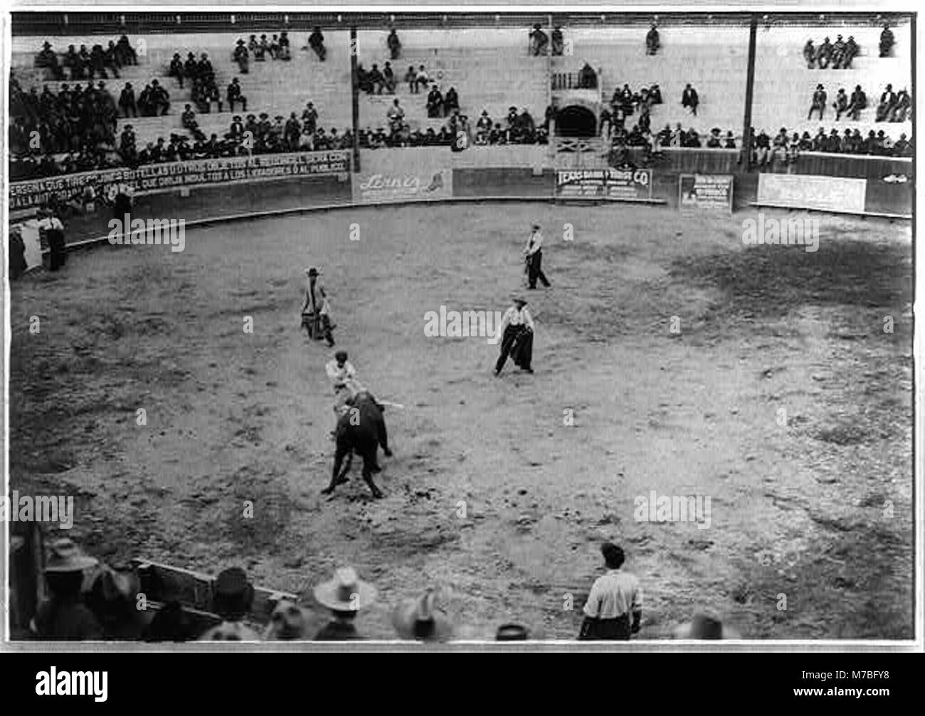 Bull lotta, Messico- matador e toro in arena; bull è visto dalla parte posteriore LCCN2002709508 Foto Stock