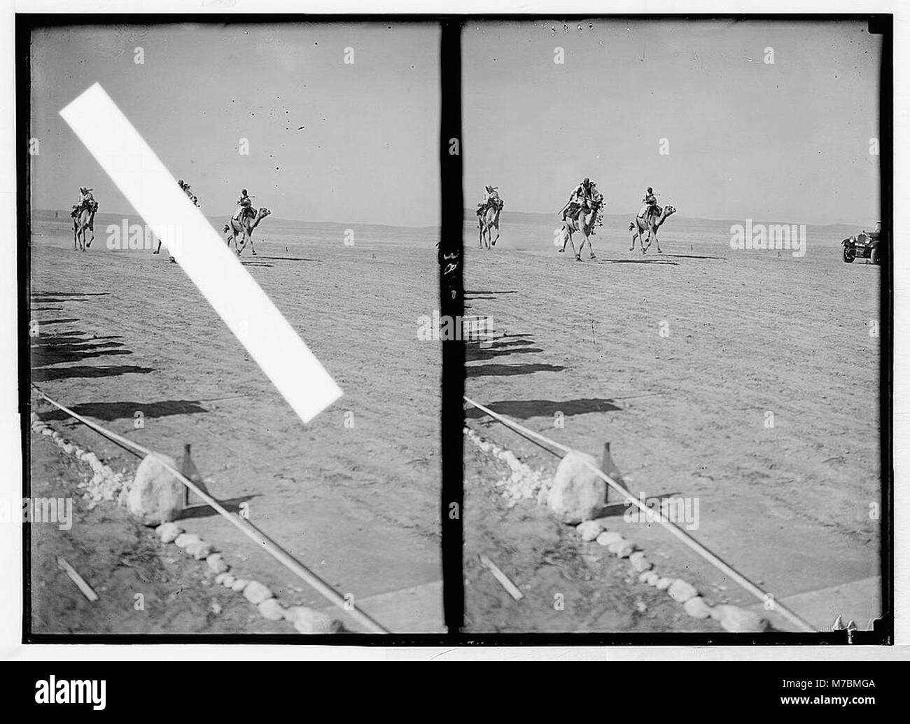 In prossimità del 1930 locust campagna. I beduini racing e della festa a Beersheba su Giugno 30th, 1930. Corsa di cammelli a Beersheba sport. Camel prese a al galoppo matpc LOC.02954 Foto Stock