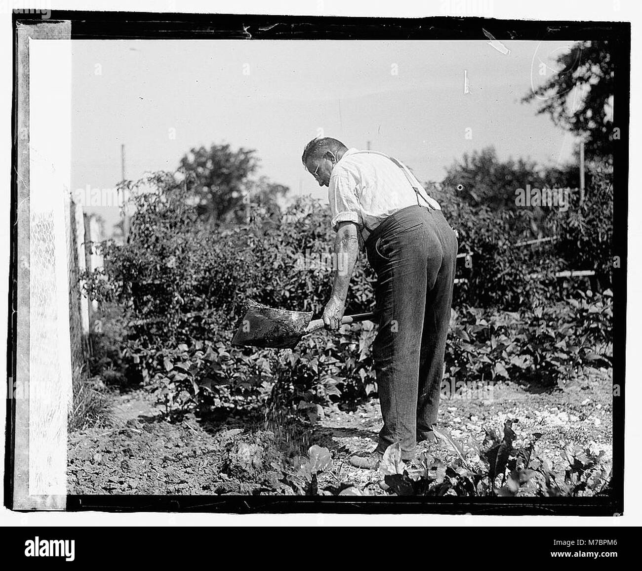 Questa immagine mostra un giardino di contea ben tenuto, che mette in risalto la bellezza e la struttura del tradizionale giardinaggio inglese. Il giardino riflette l'importanza culturale del paesaggio nelle comunità rurali. Foto Stock