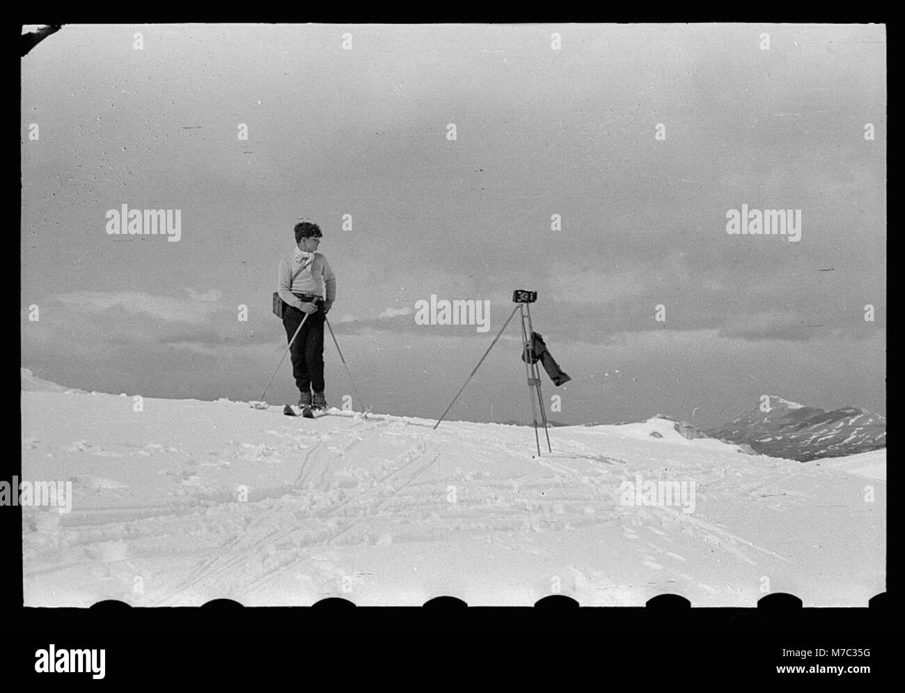 Cedri. Aprire mountain sweep sotto i cedri LOC matpc.22681 Foto Stock