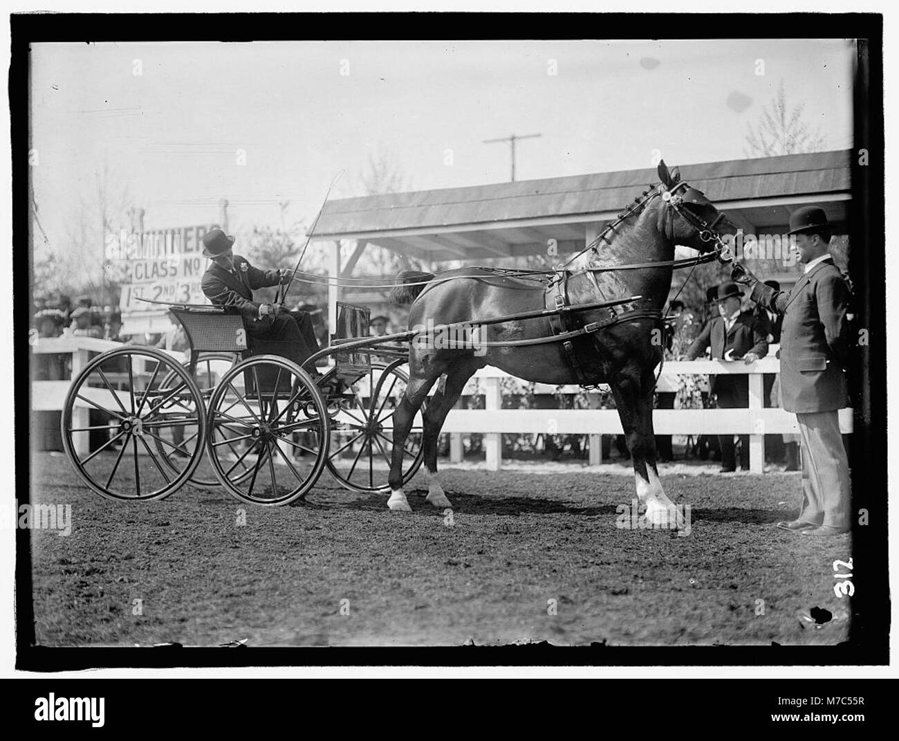Questa immagine mostra uomini non identificati che partecipano a una mostra ippica, probabilmente una competizione o una mostra che coinvolge vari tipi di eventi a cavallo, popolari negli ambienti rurali e urbani americani durante la fine del XIX e l'inizio del XX secolo. Foto Stock