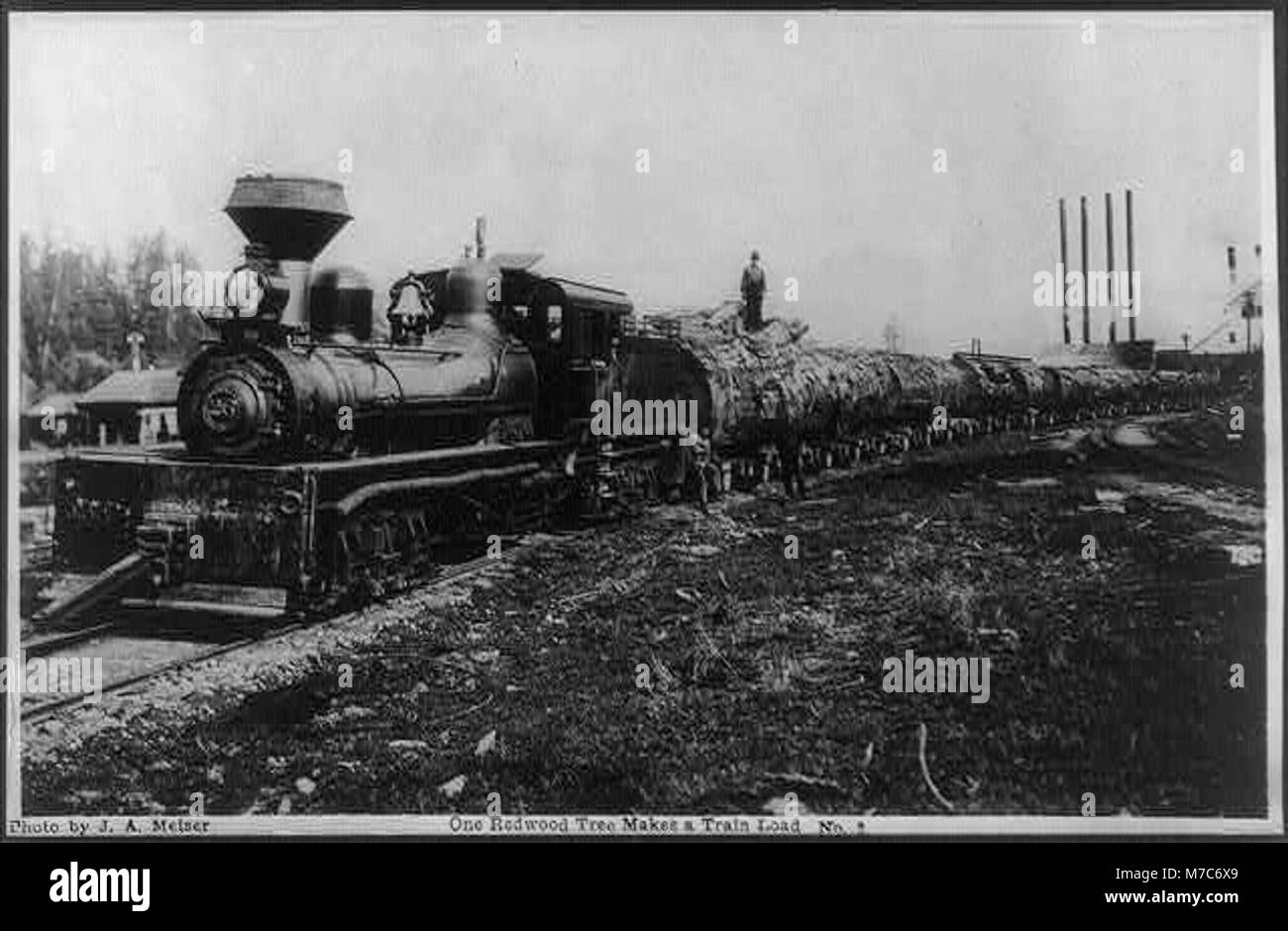 Una fotografia che mostra l'enormità di un albero di sequoia, abbastanza grande da riempire un'intera carrozza del treno, sottolineando l'enorme scala di questi alberi giganti e il loro significato nel paesaggio naturale della California. Foto Stock