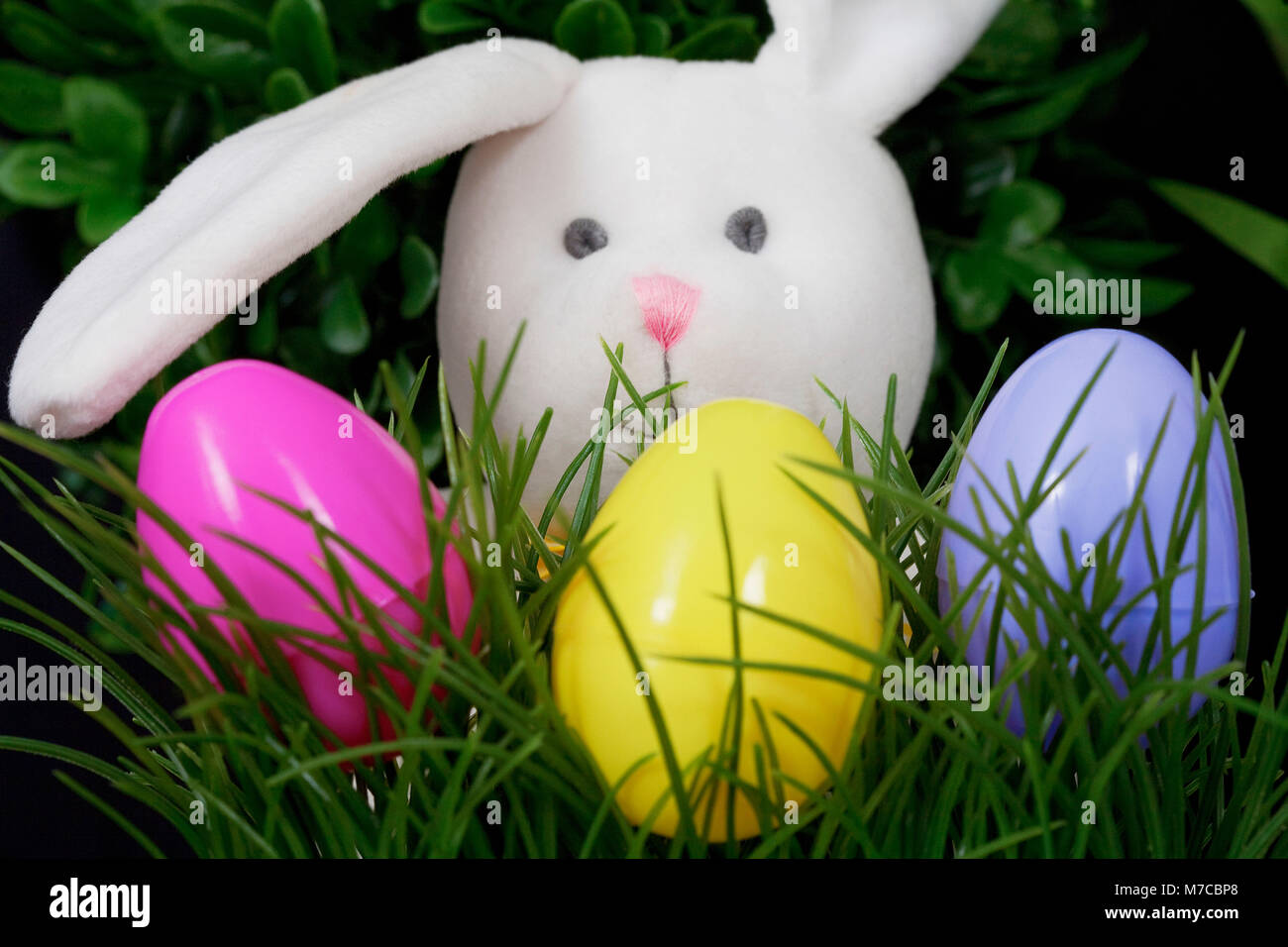 Close-up di un coniglietto di pasqua con le uova di Pasqua Foto Stock
