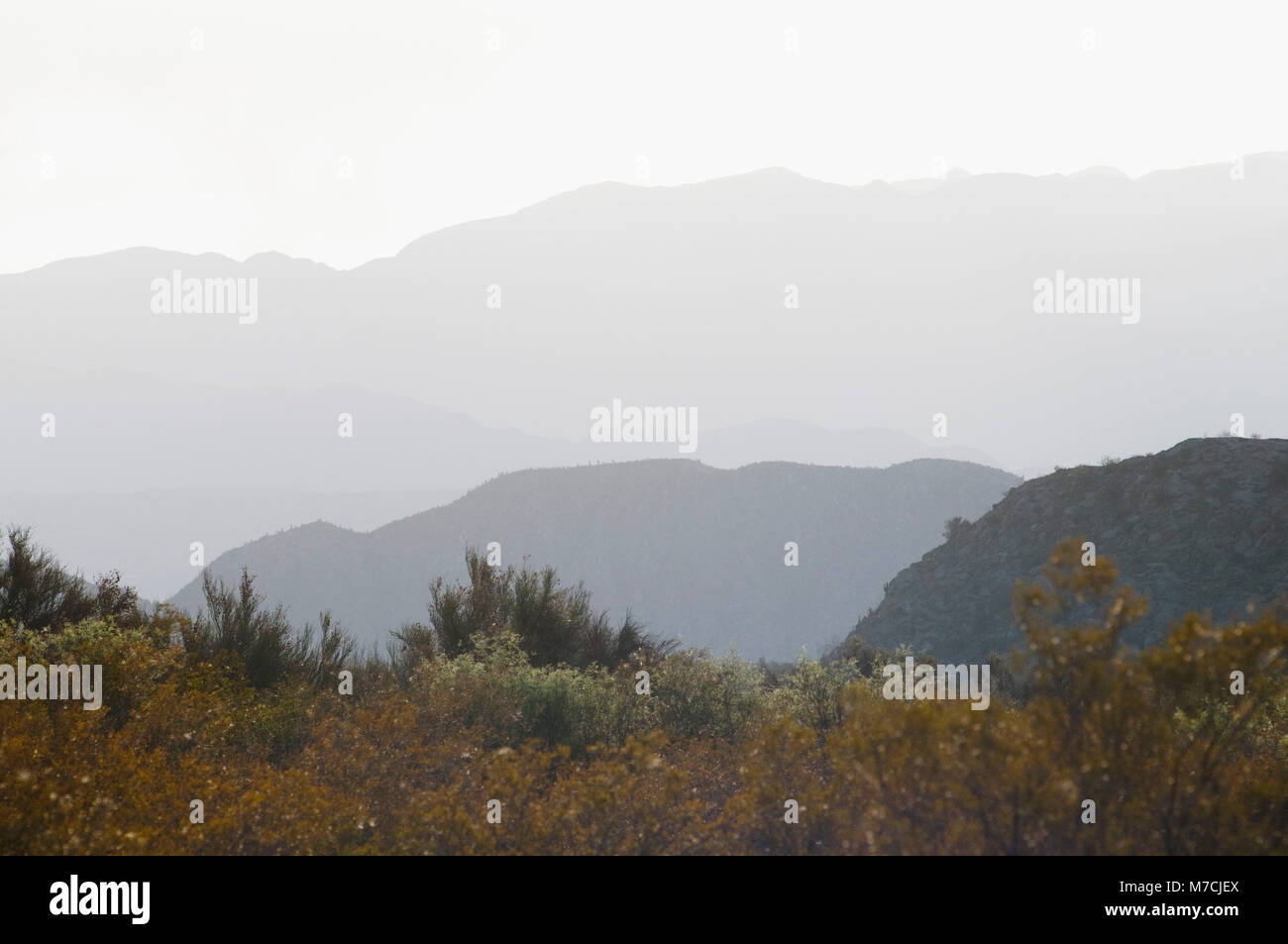 La gamma della montagna di nebbia, Fatima montagna, La Rioja Provincia, Argentina Foto Stock