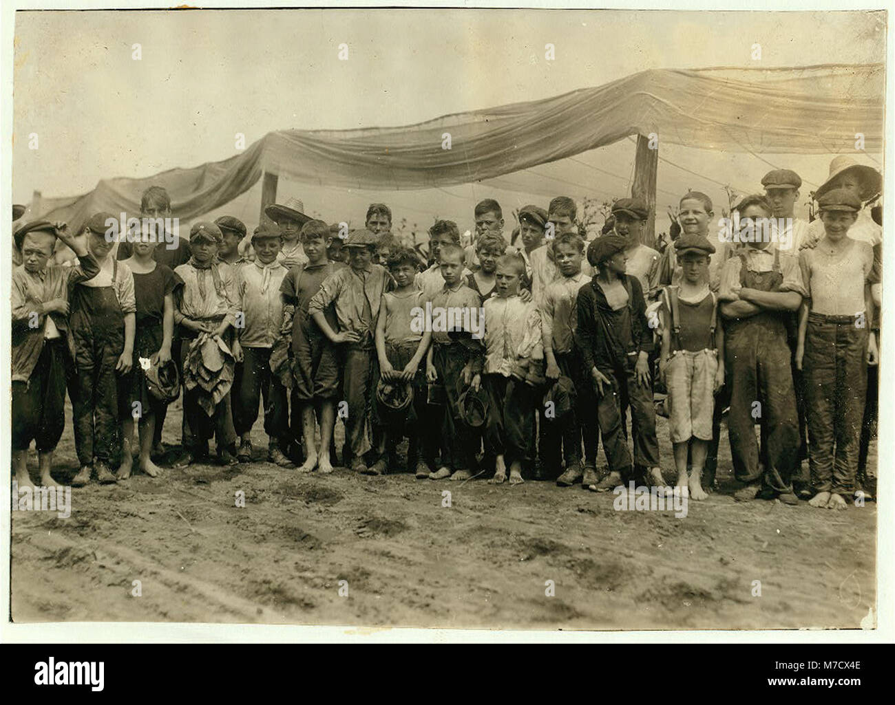 Campo-lavoratori, Amer. Sumatra Tobacco Co. Il Supt. chiamato i ragazzi fuori alla fine delle righe e abbiamo trovato 47 ragazzi da 9 a 15 anni, lavorano tutti ma non ha potuto entrare in possesso di tutti loro. Il LOC nclc.00705 Foto Stock