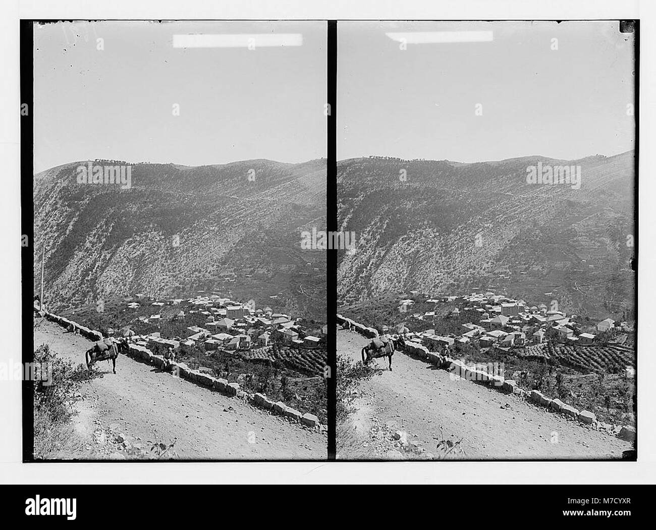 Un viaggio da Tripoli ai Cedri del Libano, esplorando un tipico villaggio libanese lungo il tragitto. Questa immagine cattura il paesaggio e la cultura del Libano durante l'inizio del XX secolo. Foto Stock