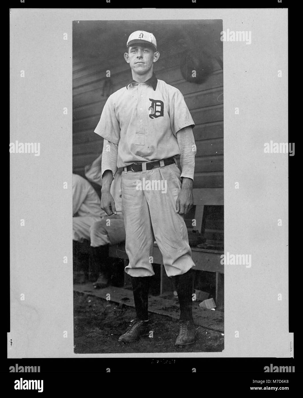 Herman Malloy, un giocatore del Detroit Baseball Club, è mostrato in un ritratto a figura intera con l'uniforme della sua squadra. Questa immagine cattura l'atleta al suo massimo durante il suo tempo nel baseball. Foto Stock