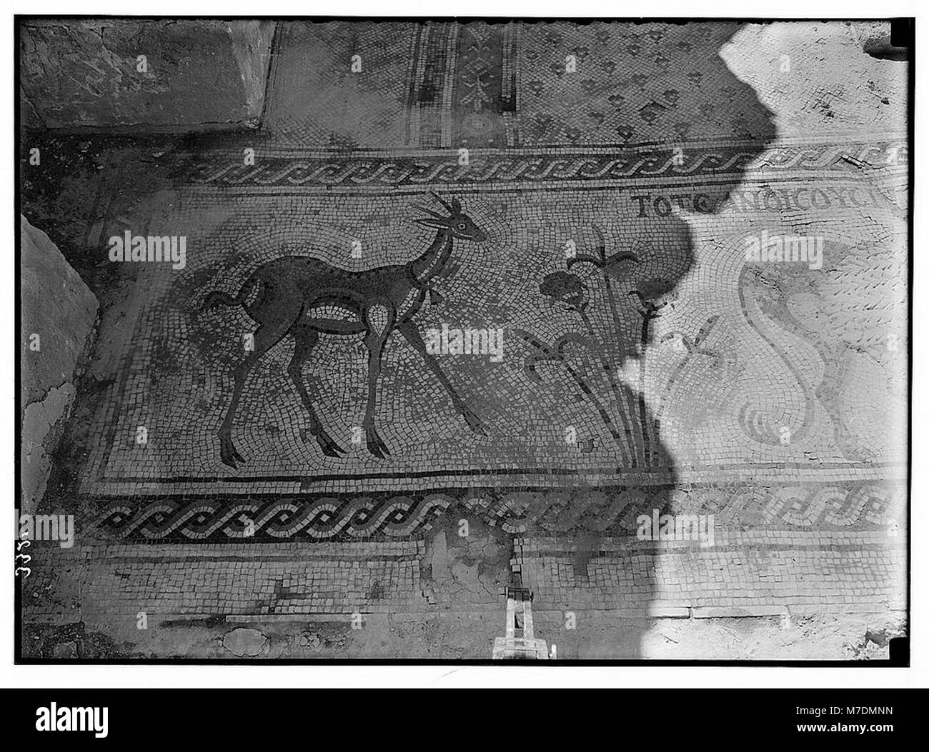 L'immagine mostra un dettaglio dei mosaici della Cappella di Santa Maria sul Monte Nebo, raffiguranti gazzelle e fiori, significativi per il loro contesto religioso e storico. Foto Stock