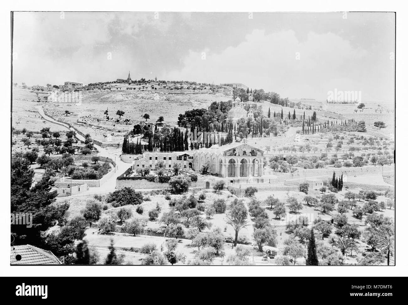 Una vista del Monte degli Ulivi e del Giardino del Getsemani a Gerusalemme, con una siepe di cactus in primo piano, che sottolinea il significato storico e religioso della zona. Foto Stock