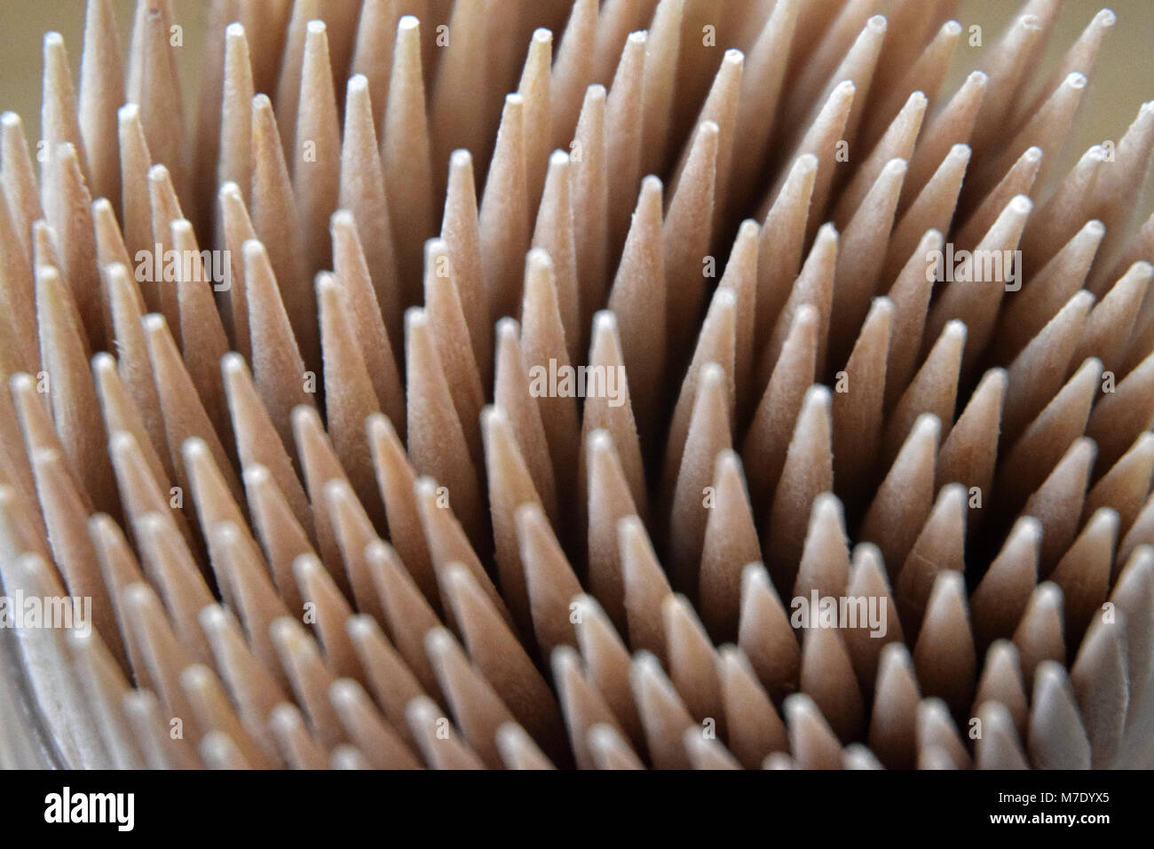 Piccolo, bastoni appuntiti, per la pulizia dei denti. Close-up. Foto Stock