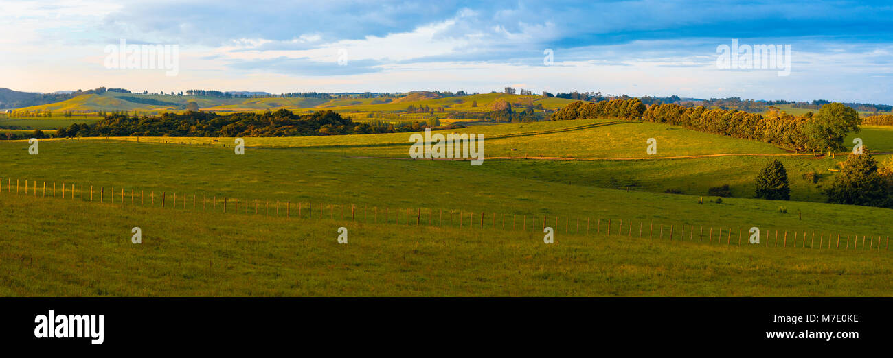 Panorama su prodotti lattiero-caseari paese agricolo nell'entroterra di Kerikeri, Isola del nord, Nuova Zelanda Foto Stock