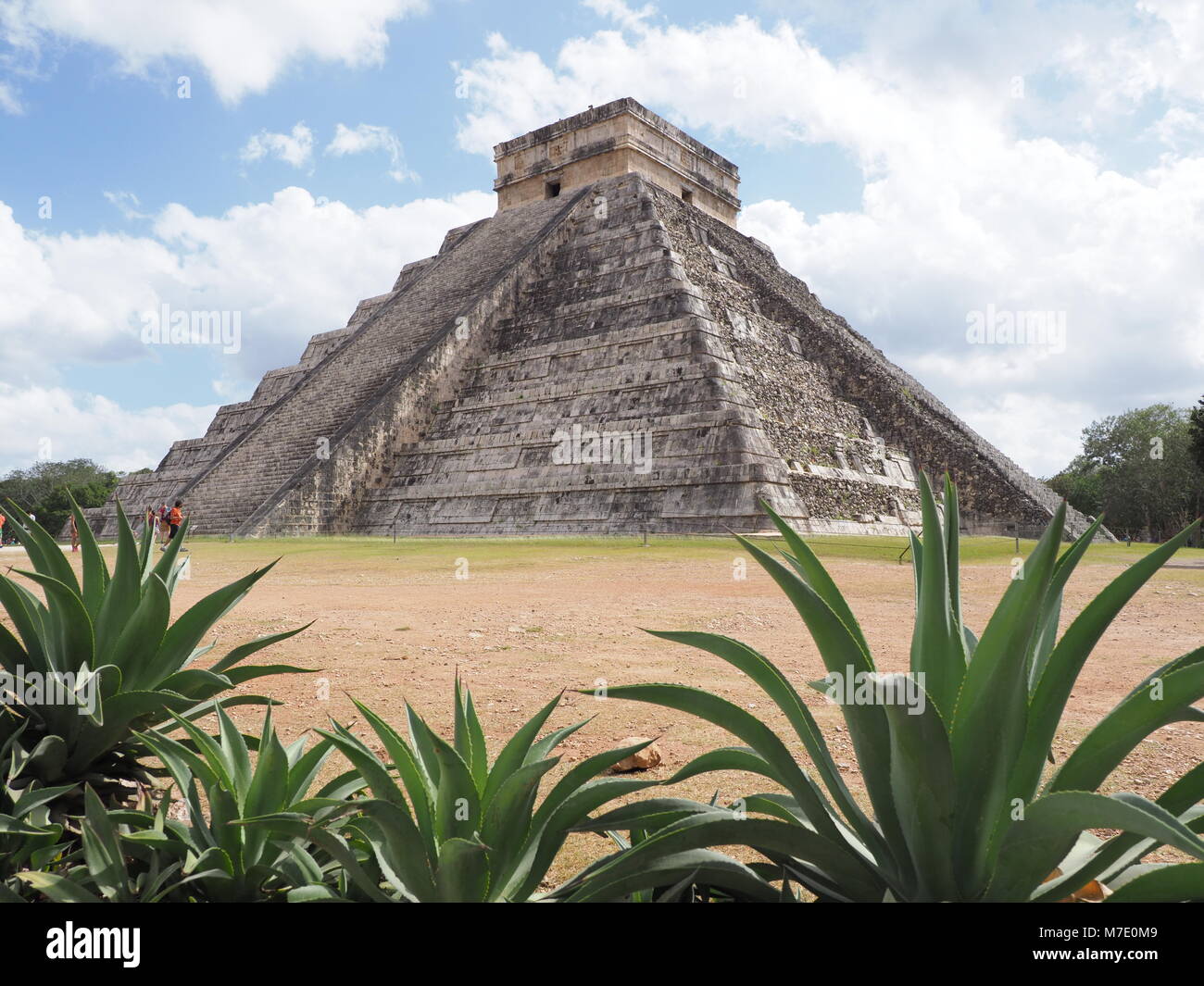 Piramide e agavi in Chichen Itza città Maya in Messico, rovine di siti archeologici paesaggi con nuvoloso cielo blu nel 2018 caldo e soleggiato giorno d'inverno. Foto Stock
