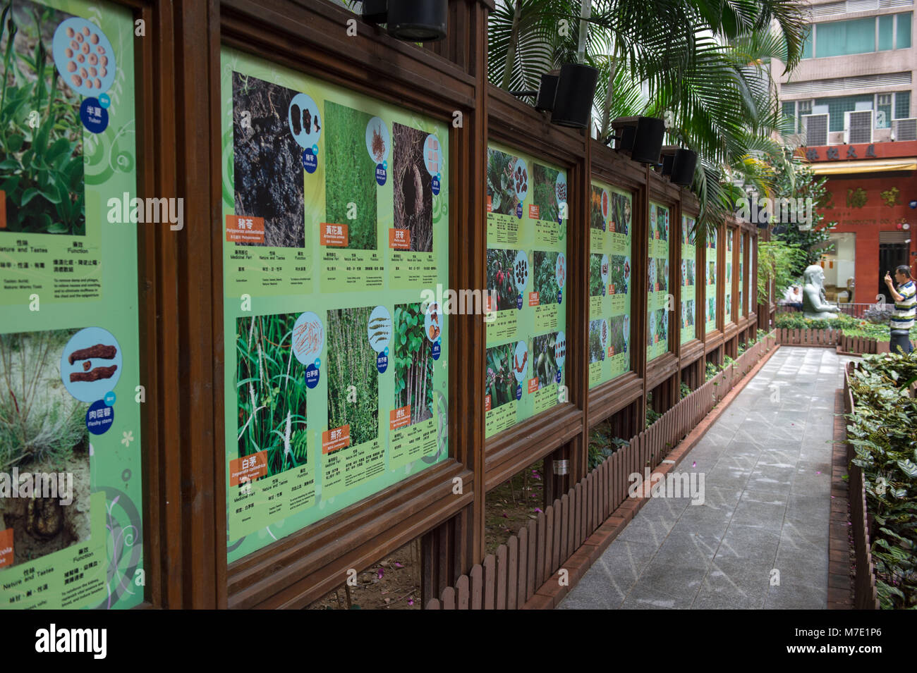 HONG KONG - CINA - marzo 07 ,2018: Queen Street resto Giardino Bonham Street Sheung Wan.Il giardino ha più di 100 piante usate nella medicina cinese di di Foto Stock