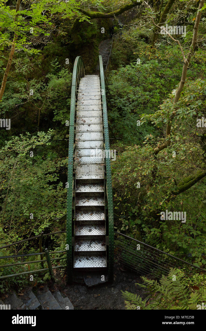 Mynach Bridge in fondo alla Mynach Falls dove fluisce nella Rheidol Foto Stock