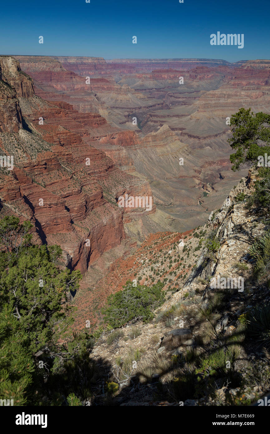 Grand Canyon vista dall'Abisso, Hermit Road, Arizona, Stati Uniti d'America Foto Stock